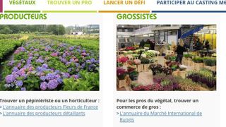 Le site https://www.missionvegetal.fr/trouver-un-pro/ a réuni sur une même page les annuaires existants en production, paysage, conception, vente en gros, vente en jardinerie, fleuristerie.©Mission : Végétal